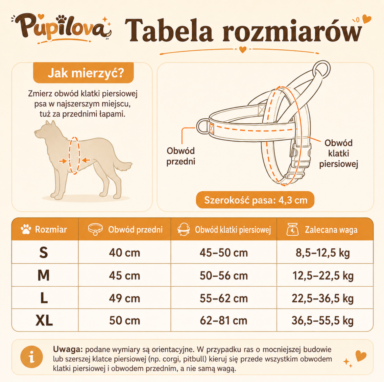 Pupilova EasyWalk