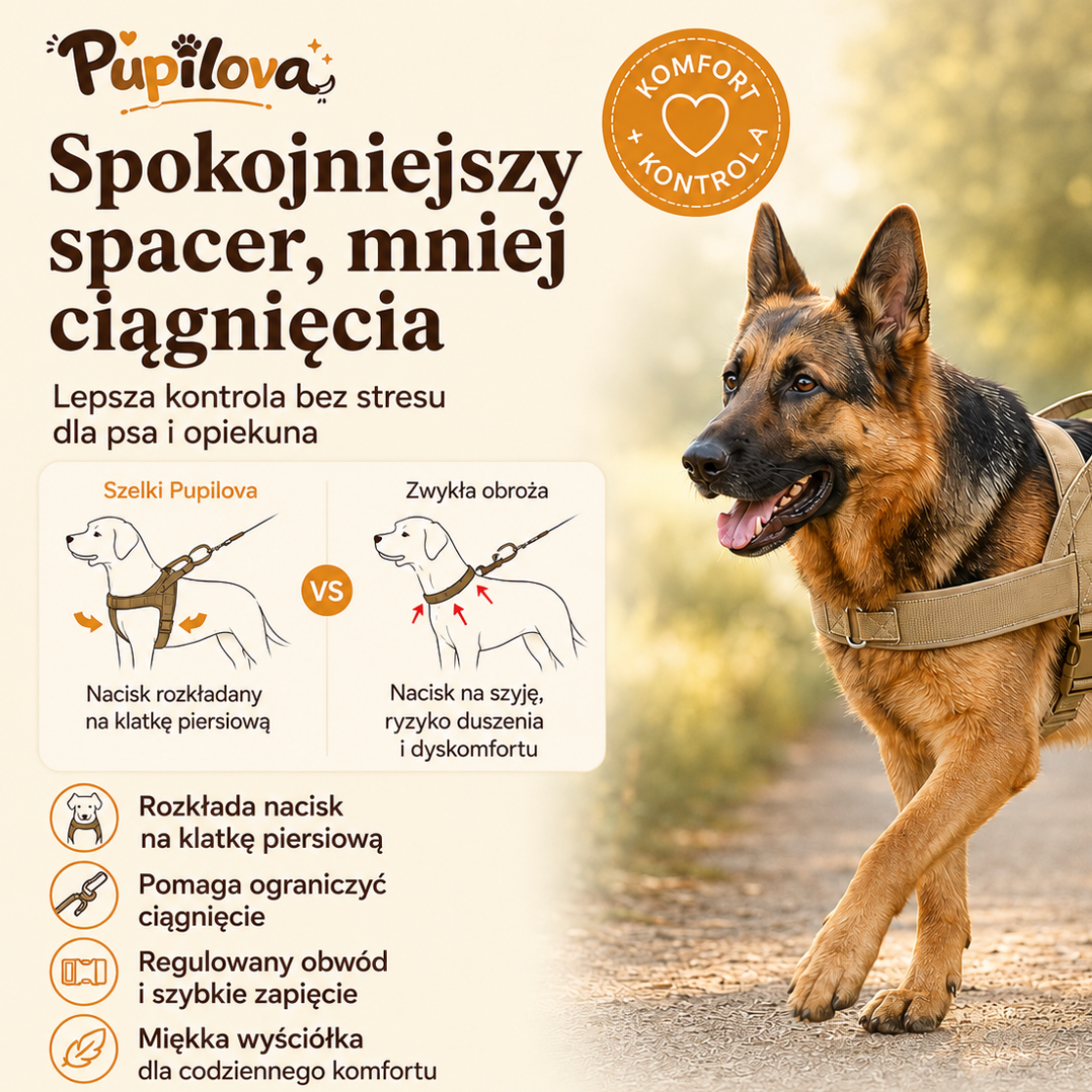 Pupilova EasyWalk