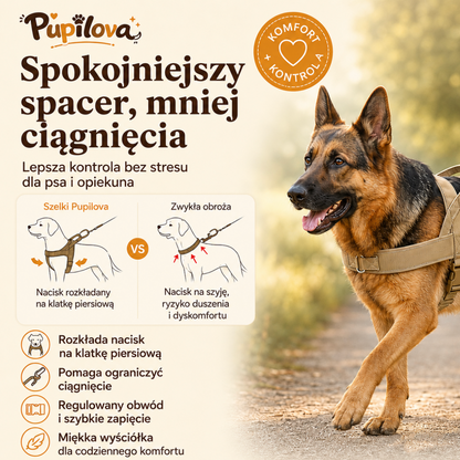 Pupilova EasyWalk