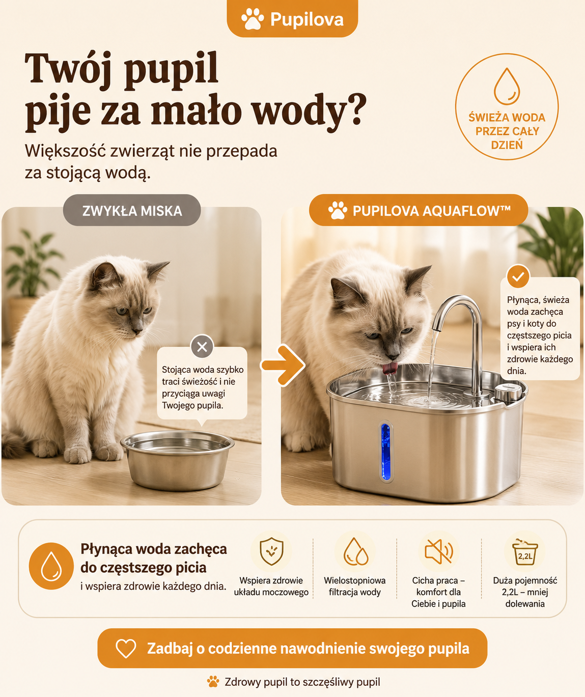 Pupilova AquaFlow